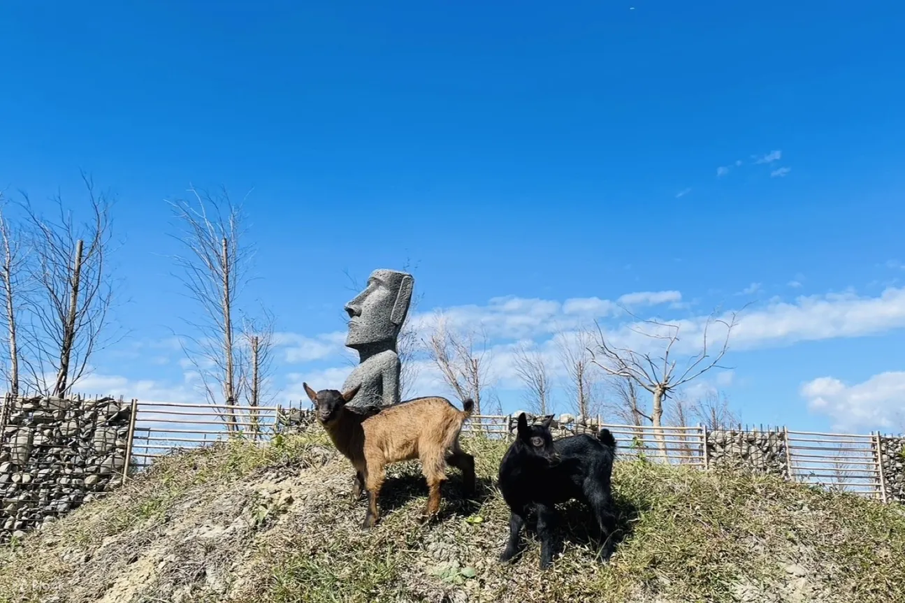 鹿ㄦ岛