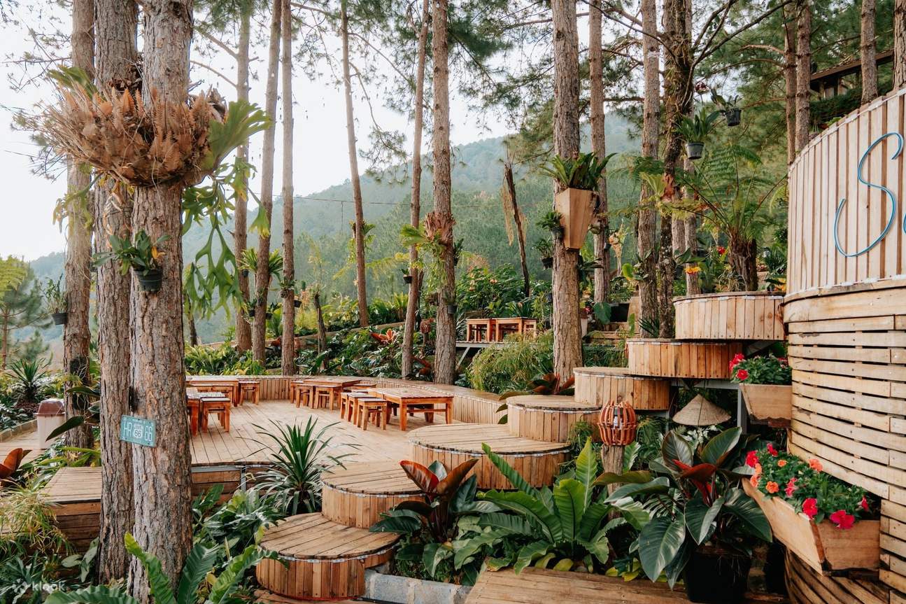 coffee garden at Dalat flower highland