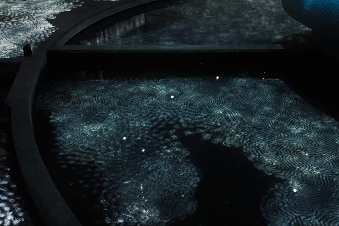 teamLab Ruins and Heritage: Rinkan Spa & Tea Ceremony Kyushu