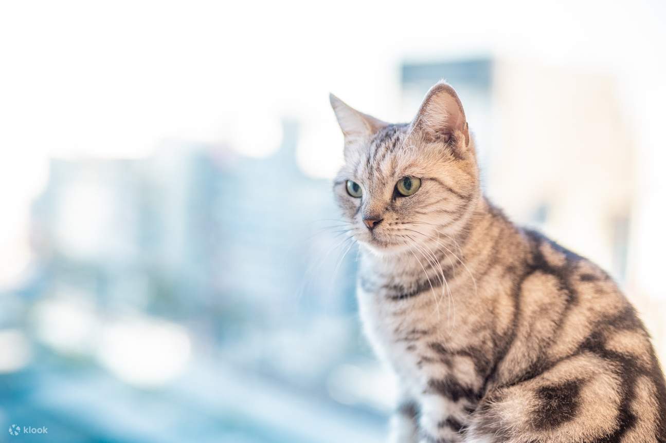 Kawasui Kawasaki Aquarium