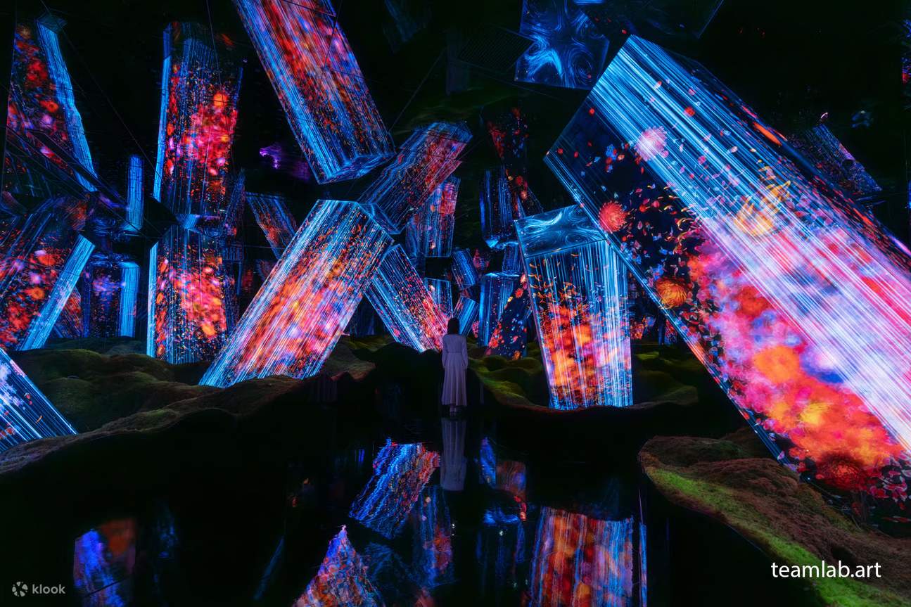 Kyoto & TeamLab Biovortex Experience Walking Tour - Klook United