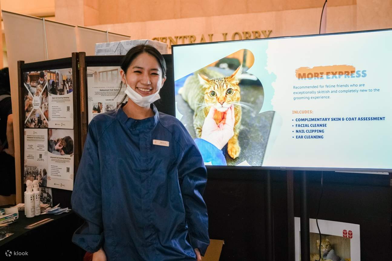 Bring your furry felines to Asia Cat Expo 2023! Klook Singapore