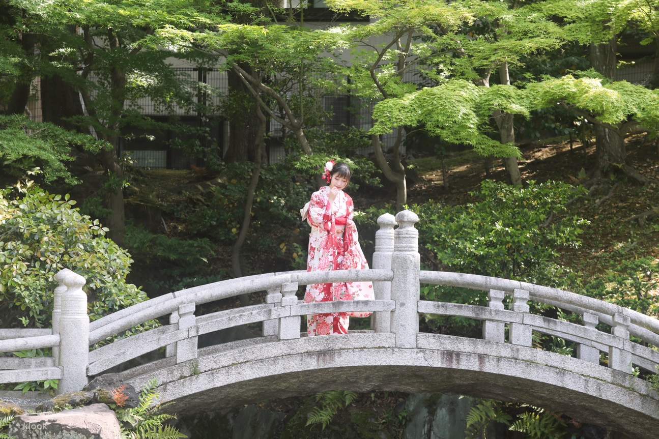 photo de lumière du soleil