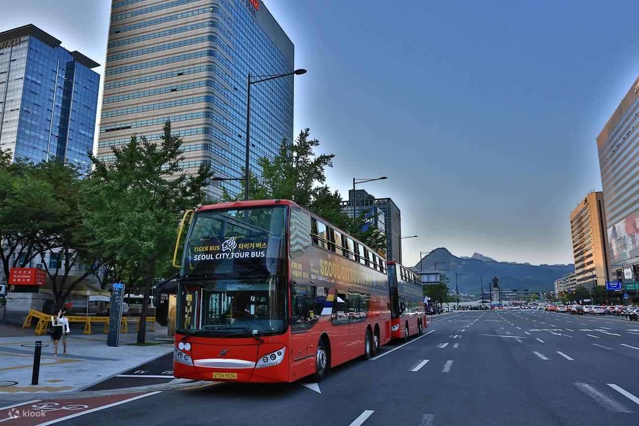 seoul city tour bus night view course