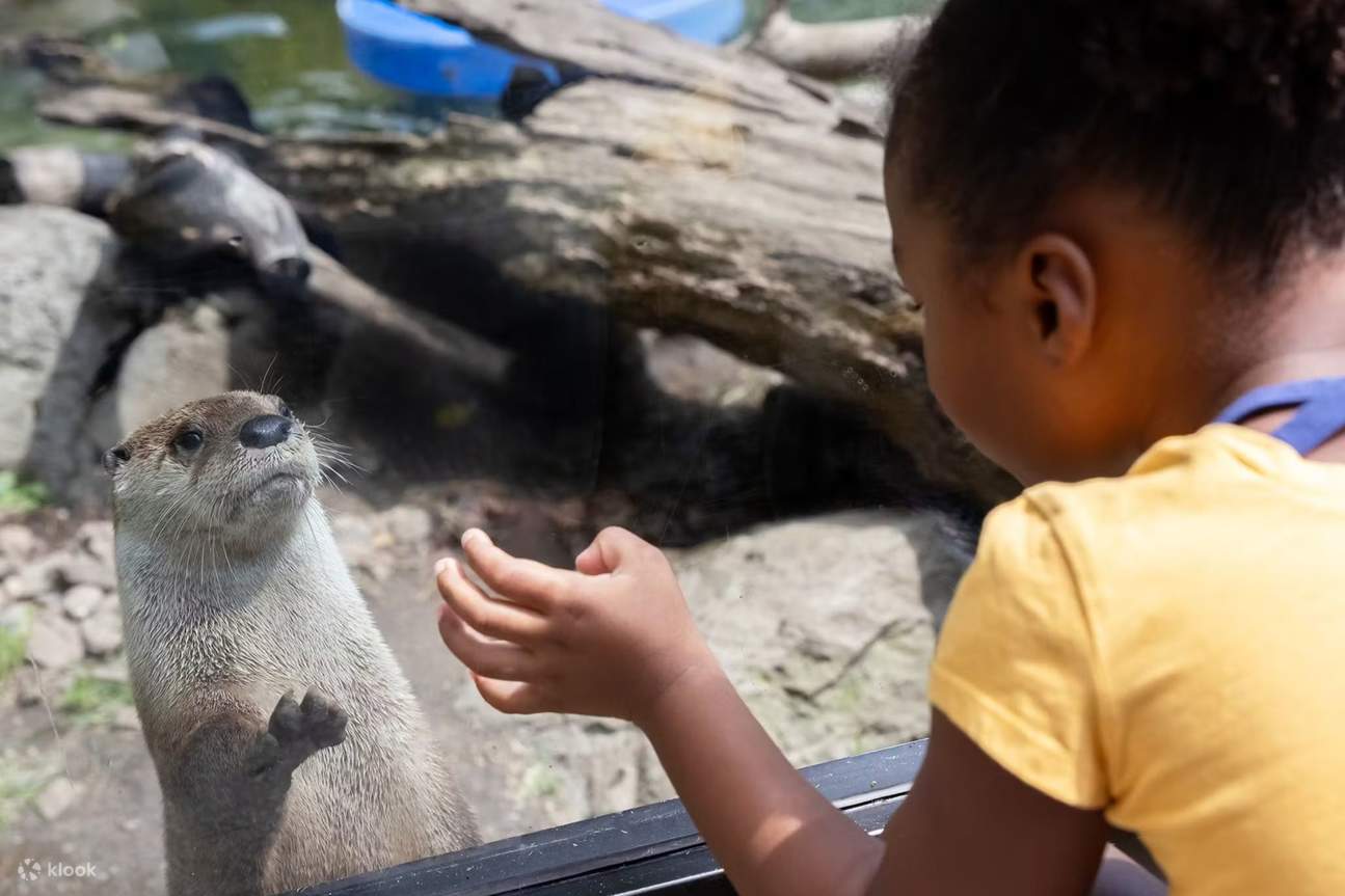 스톤햄 스톤 동물원 티켓