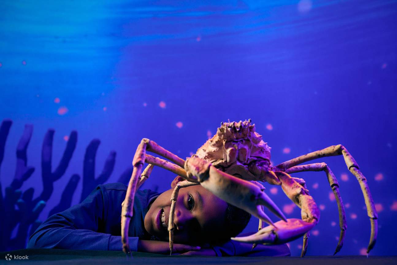 Discover intricate root networks beneath forests supporting life in hidden underground worlds