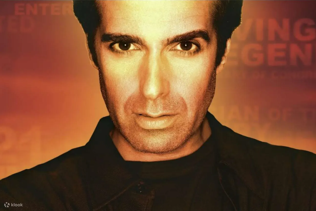 拉斯维加斯大卫·科波菲尔魔术秀 (david copperfield magic show in las vegas)