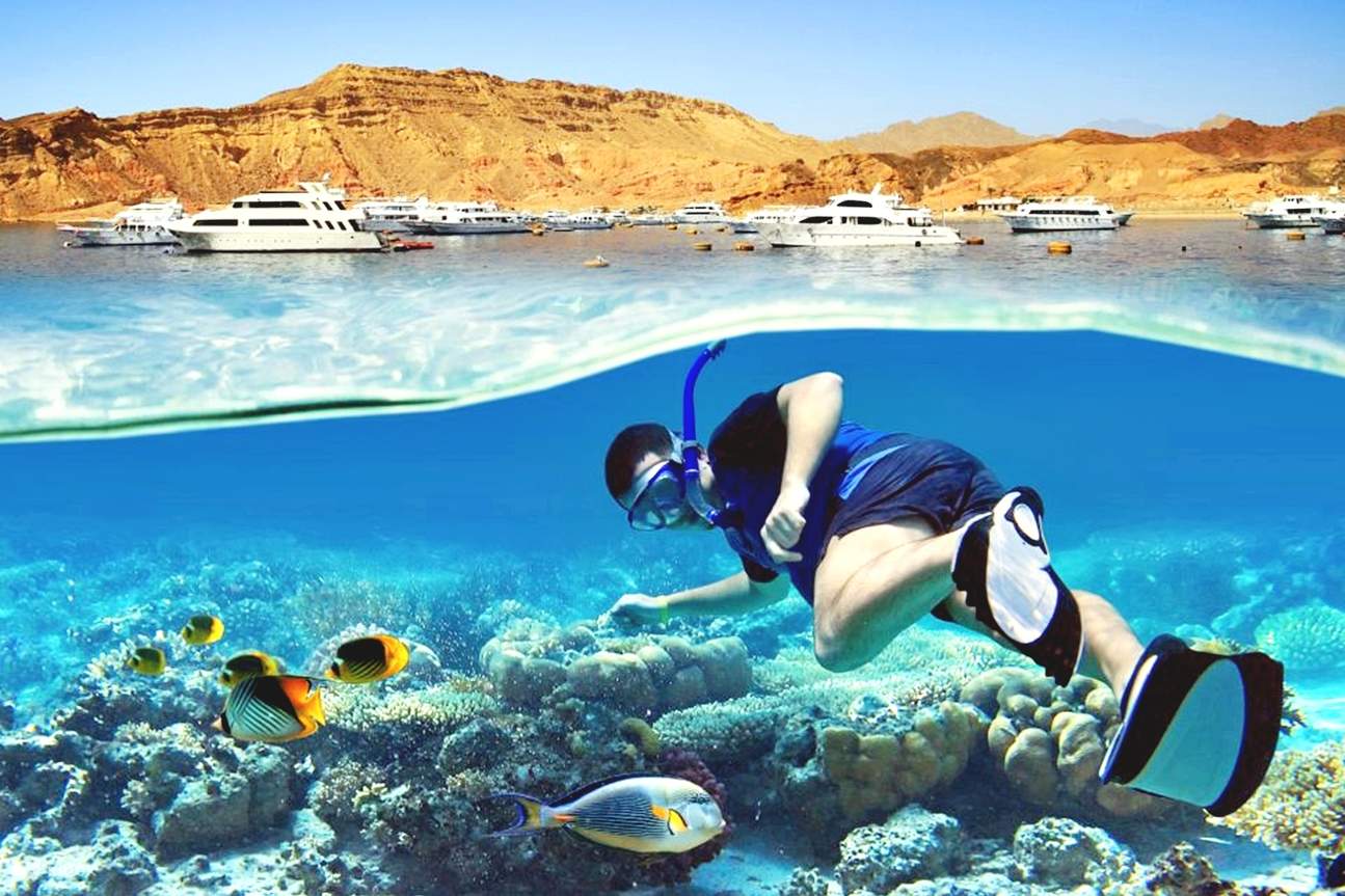 Sahl Hasheesh: Diving or Snorkeling Boat Trip with Lunch