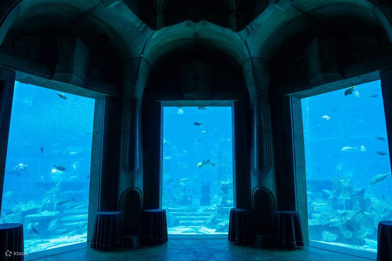 Lost World Aquarium Ticket in Atlantis Dubai