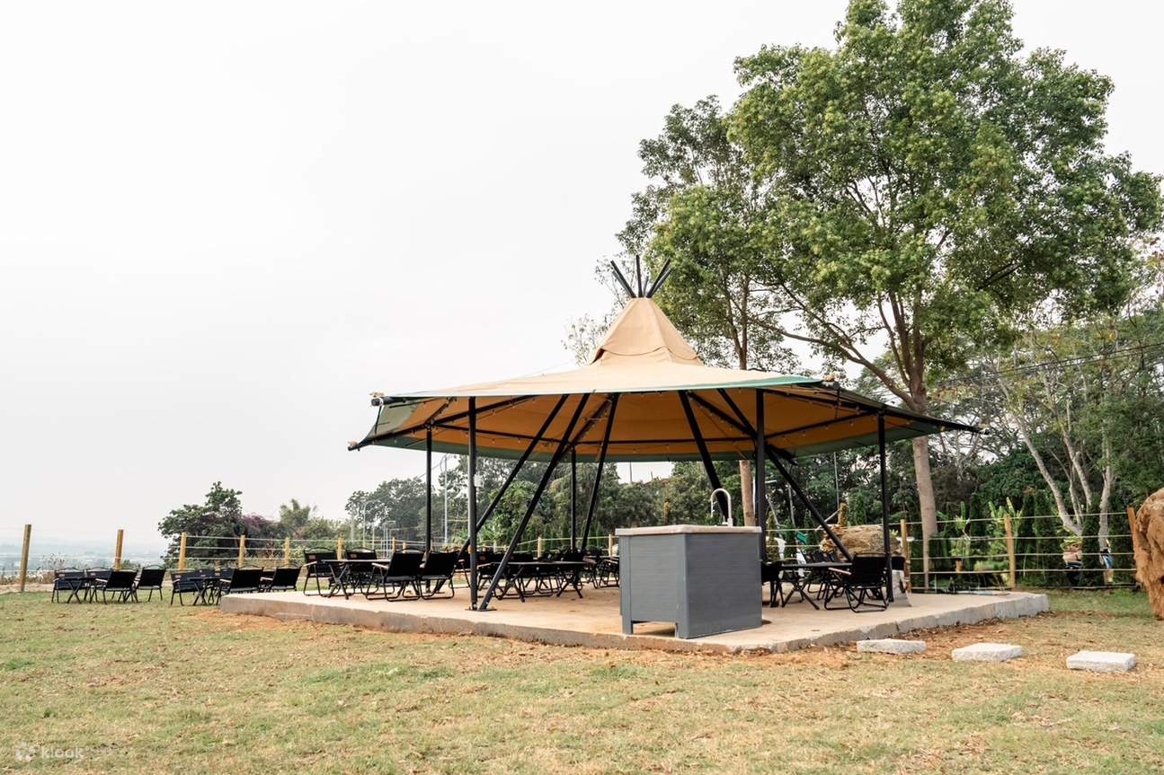 Chiayi Camping｜Return to the Park and Enjoy Life｜One Park