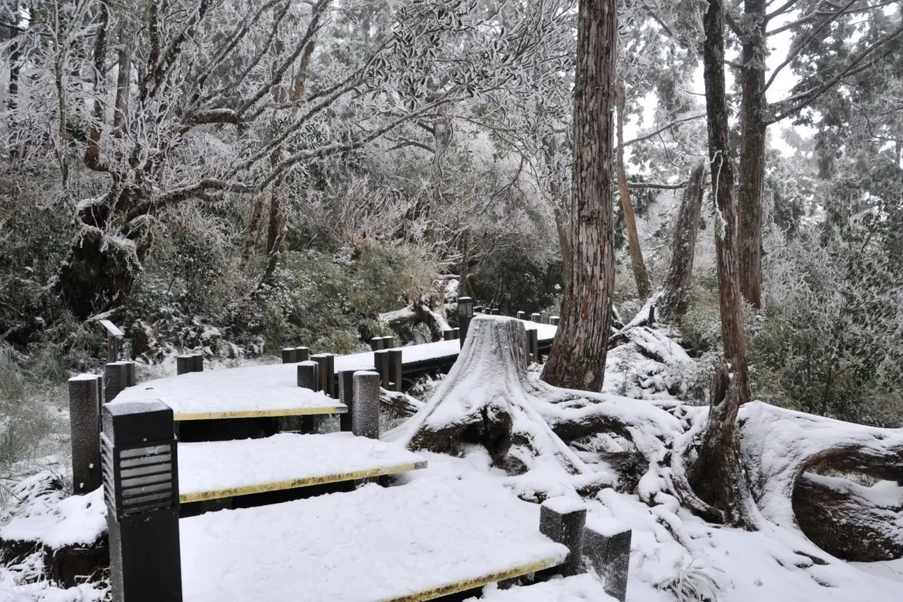 Taipingshan is one of the most accessible places to experience snow in Taiwan