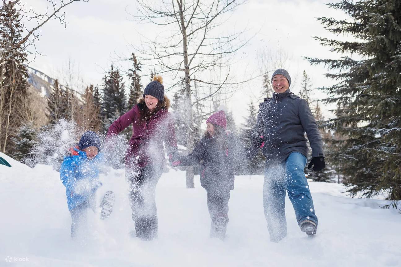 Winter Wonderland Tour at Lake Louise and Johnston Canyon in Banff ...