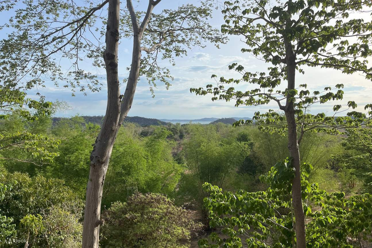 Đồi và đồng cỏ nhấp nhô