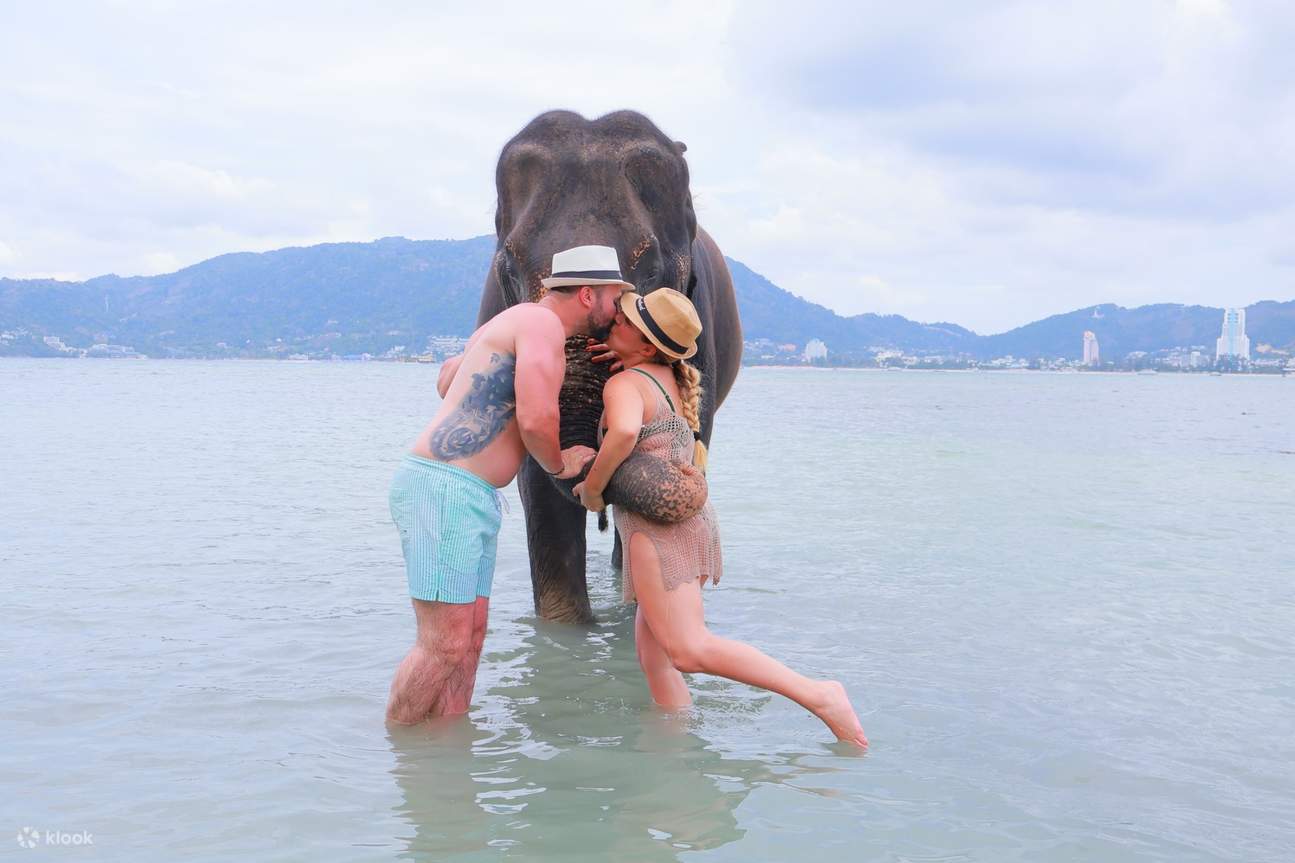 Bagno con gli elefanti a Patong, Phuket