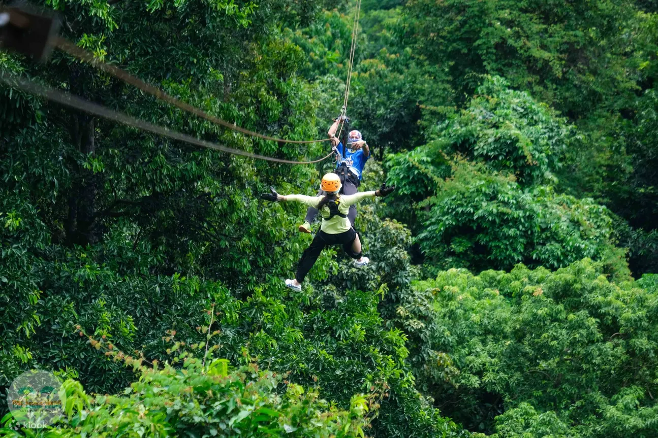 树桥滑索 (Tree Bridge Zipline) 的长滚滑索