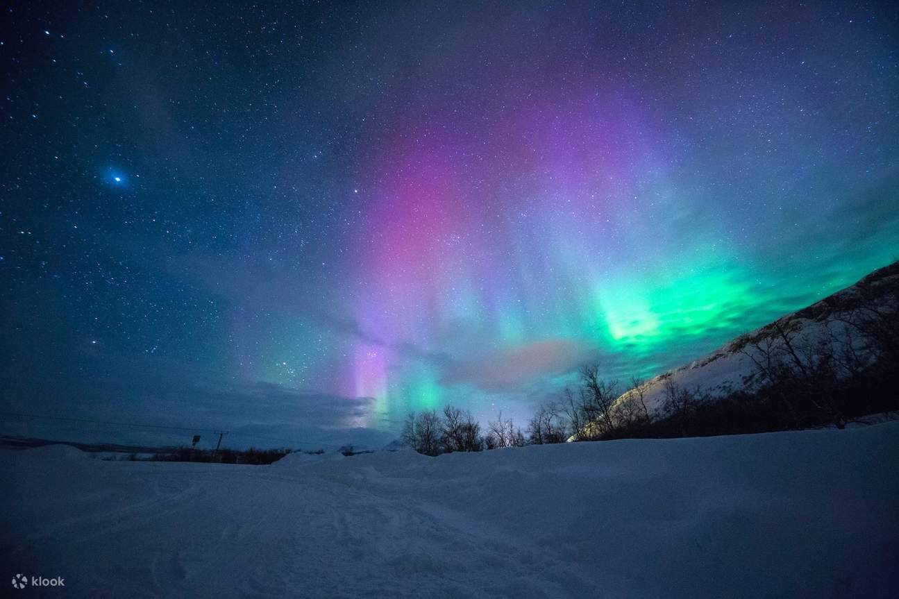 Northern Lights Photography Small Group Tour from Kiruna Klook New