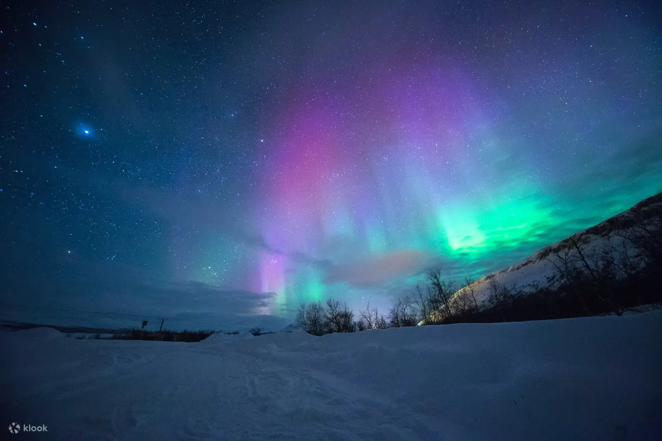 Northern Lights Photography Small Group Tour from Kiruna Klook United States