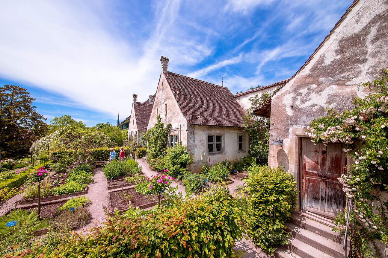 카르투즈 이팅겐 수도원에서 즐기는 현지 와인 & 치즈 시식