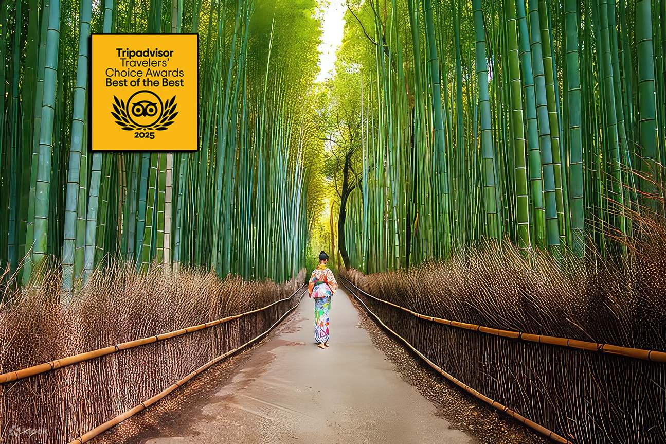 Kyoto Arashiyama Wandertour: Bambuswald, Affen, Zen & Geheimnisse