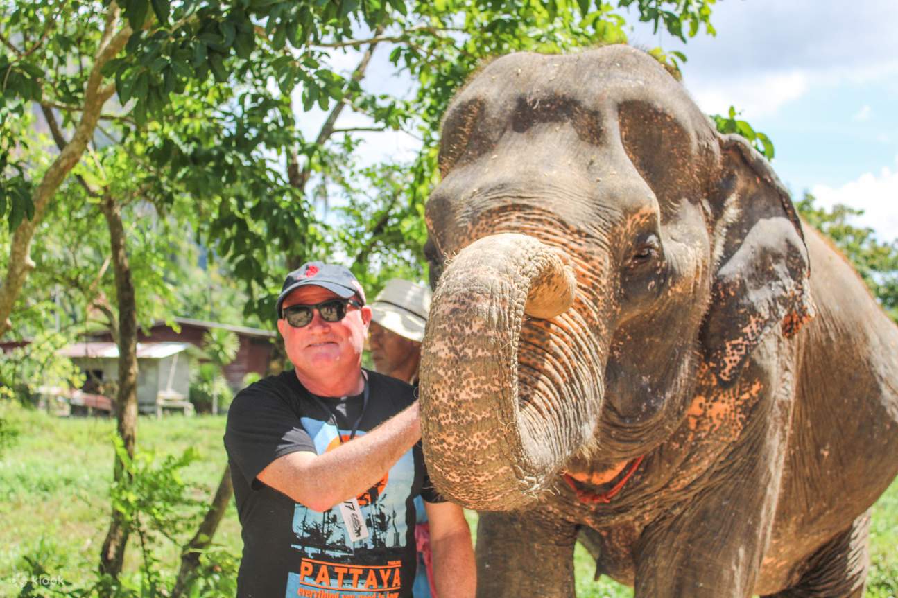 Pengalaman di Aonang Elephant Sanctuary
