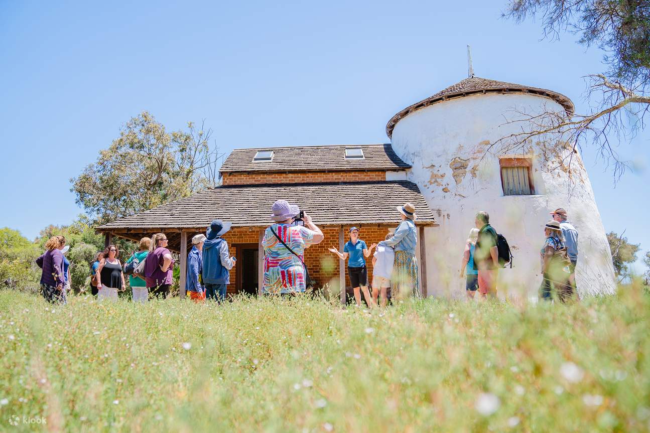 曼杜拉墨累河午餐遊船
