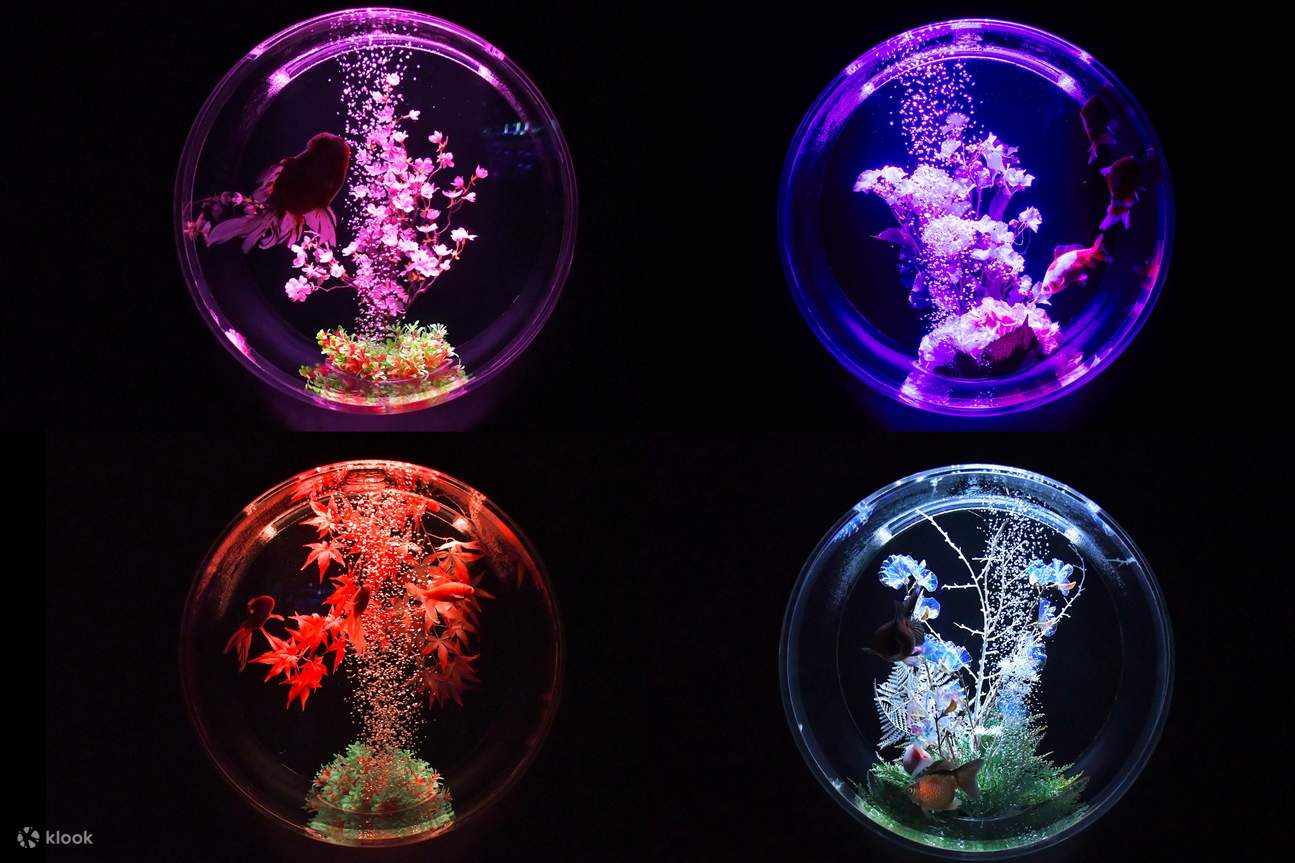 Entrada para el Museo Art Aquarium GINZA