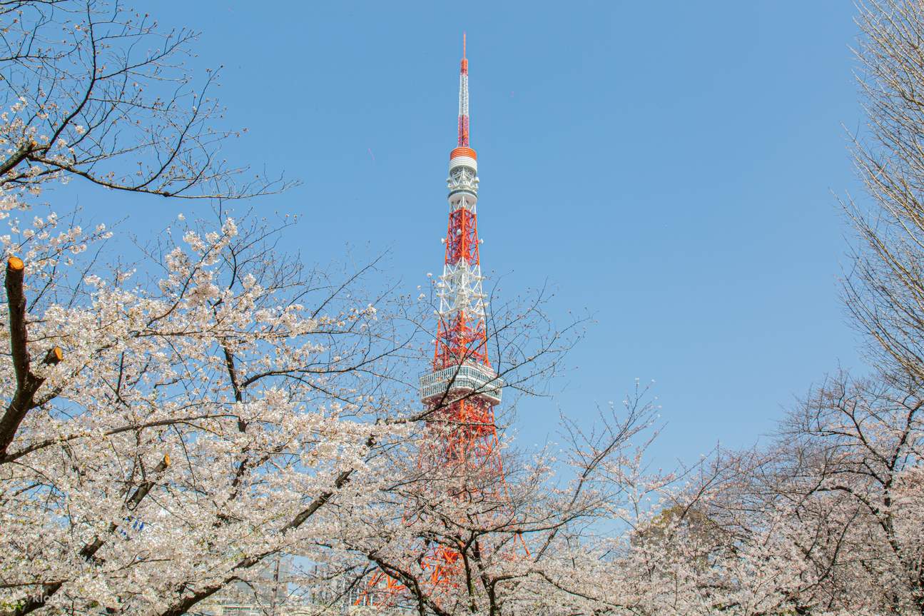Tháp Tokyo | Kinh nghiệm khám phá Tokyo Tower Nhật Bản