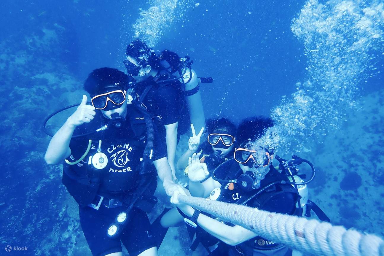 Unterwasseransicht mit Seilführung erkunden 