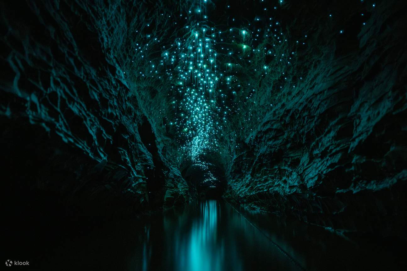 오코후아 반딧불이 동굴 투어