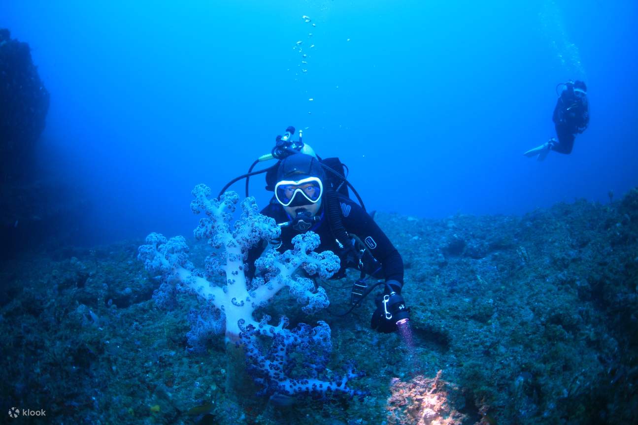 Buceo en la Isla de Jeju