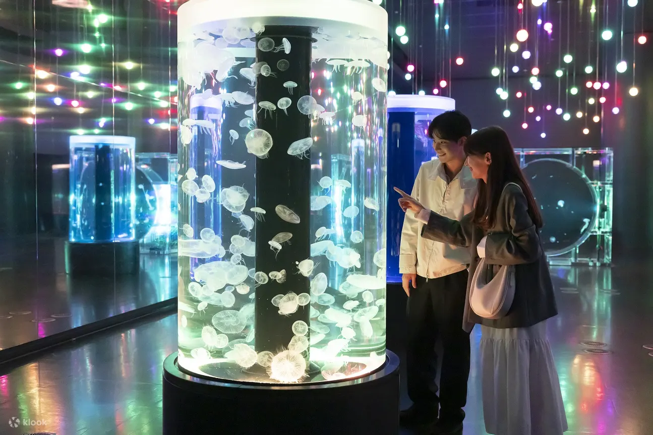 品川水族馆门票