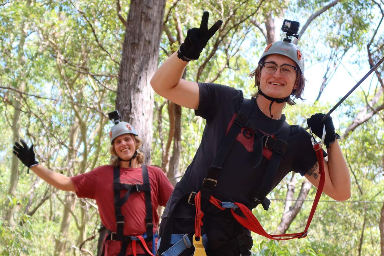 TreeTop Challenge at Tamborine Mountain from Gold Coast Klook Australia