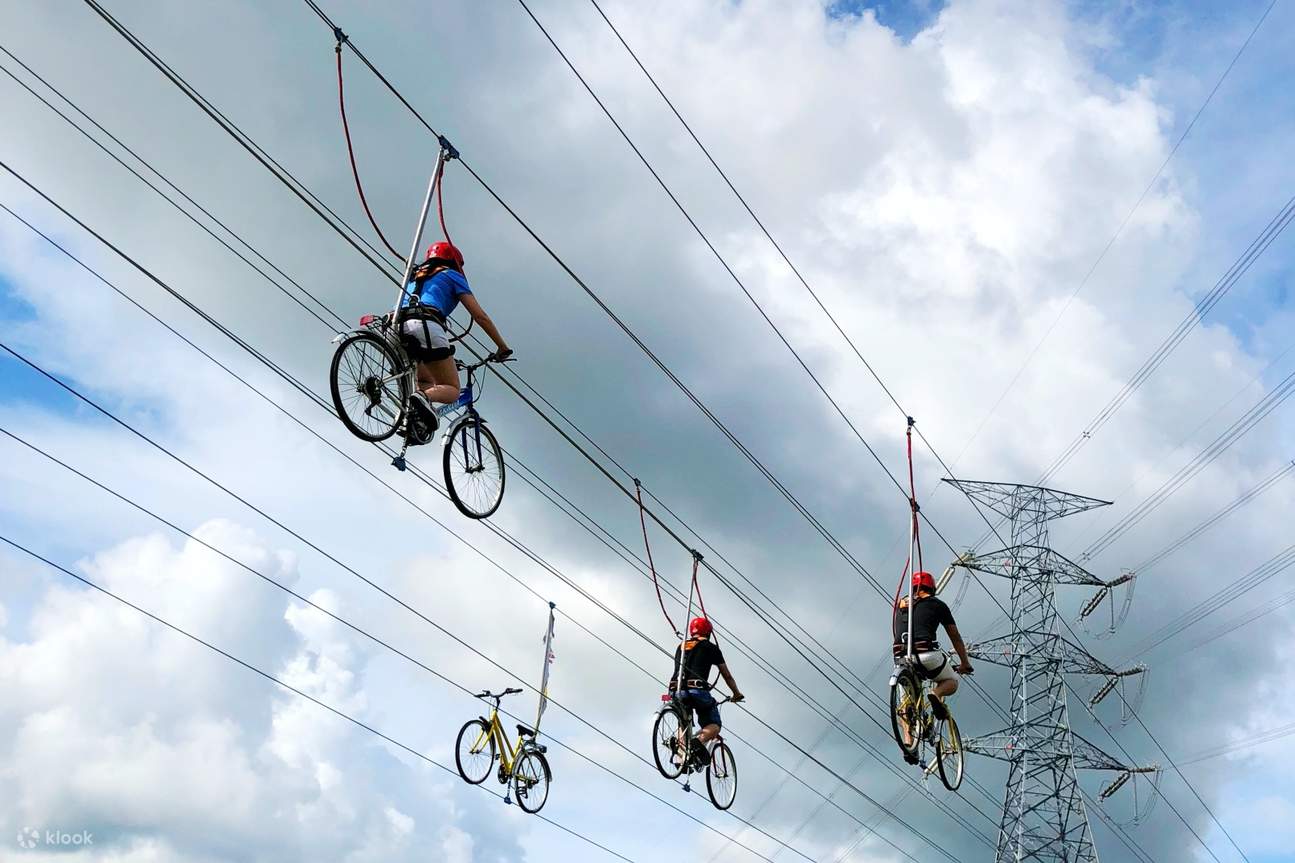 Sky bicycle sale