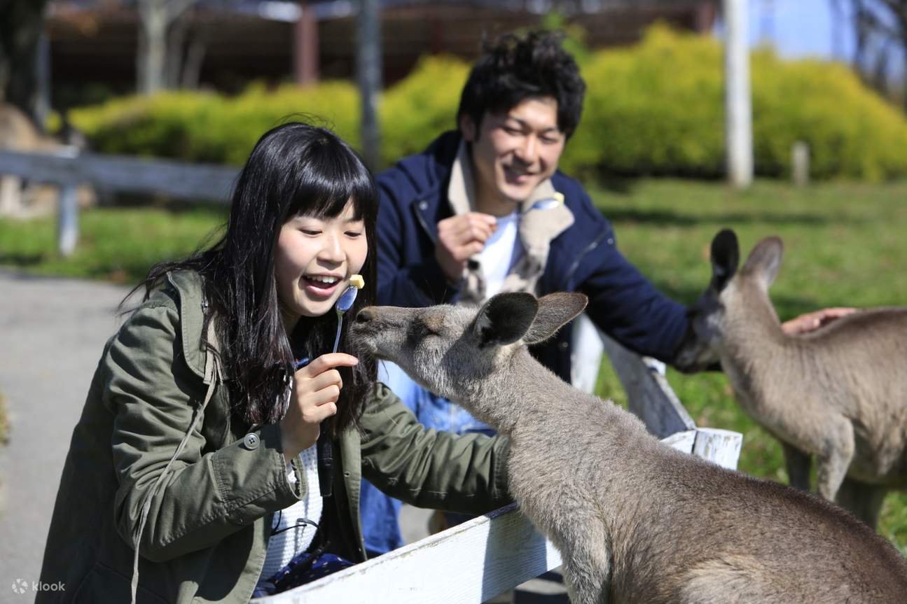 Regno Animale di Nasu