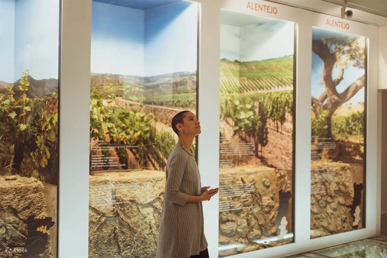 波尔图WOW 葡萄酒体验博物馆门票和品酒活动- Klook客路