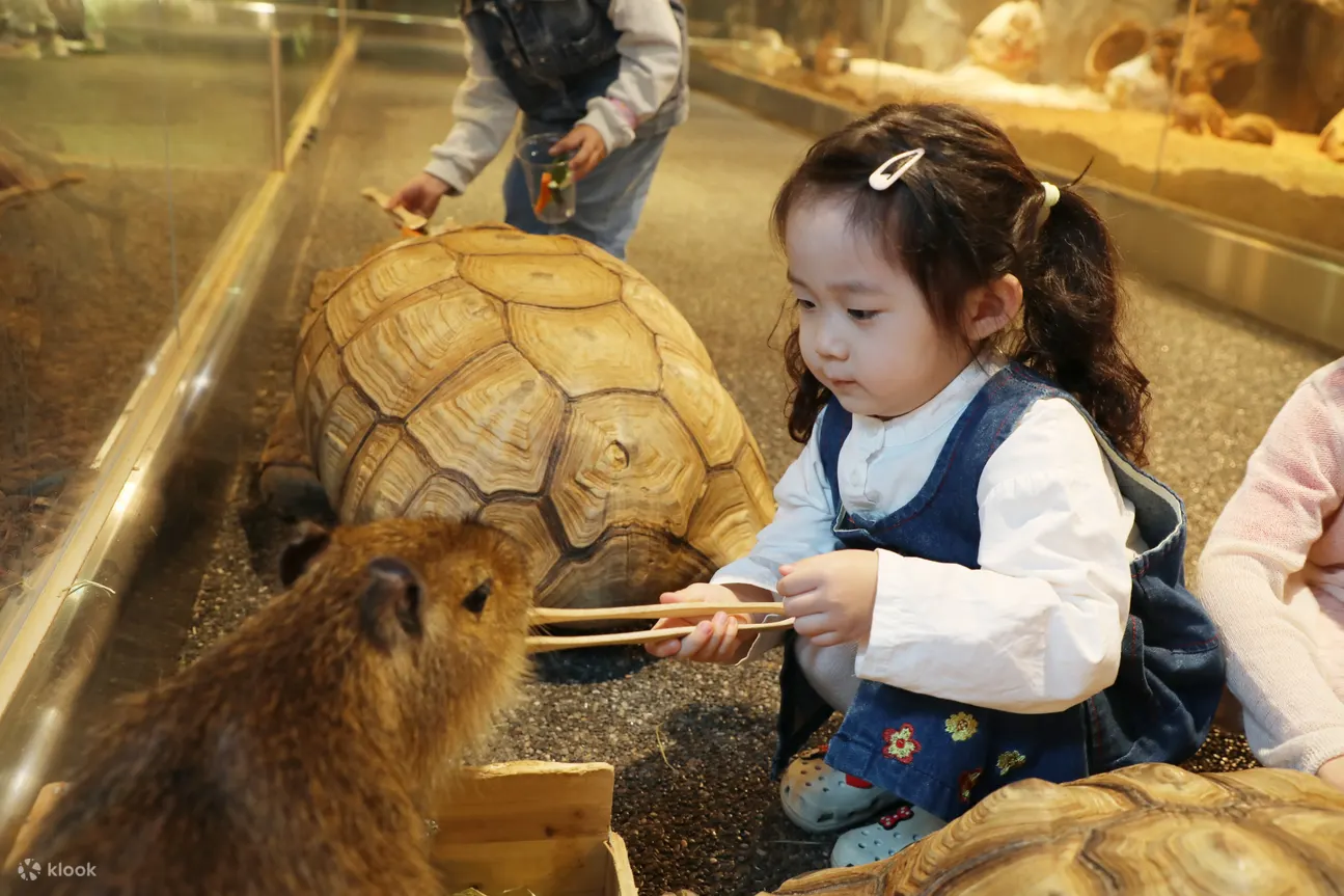 SeenB 室内动物（水豚、水獭等）园区门票