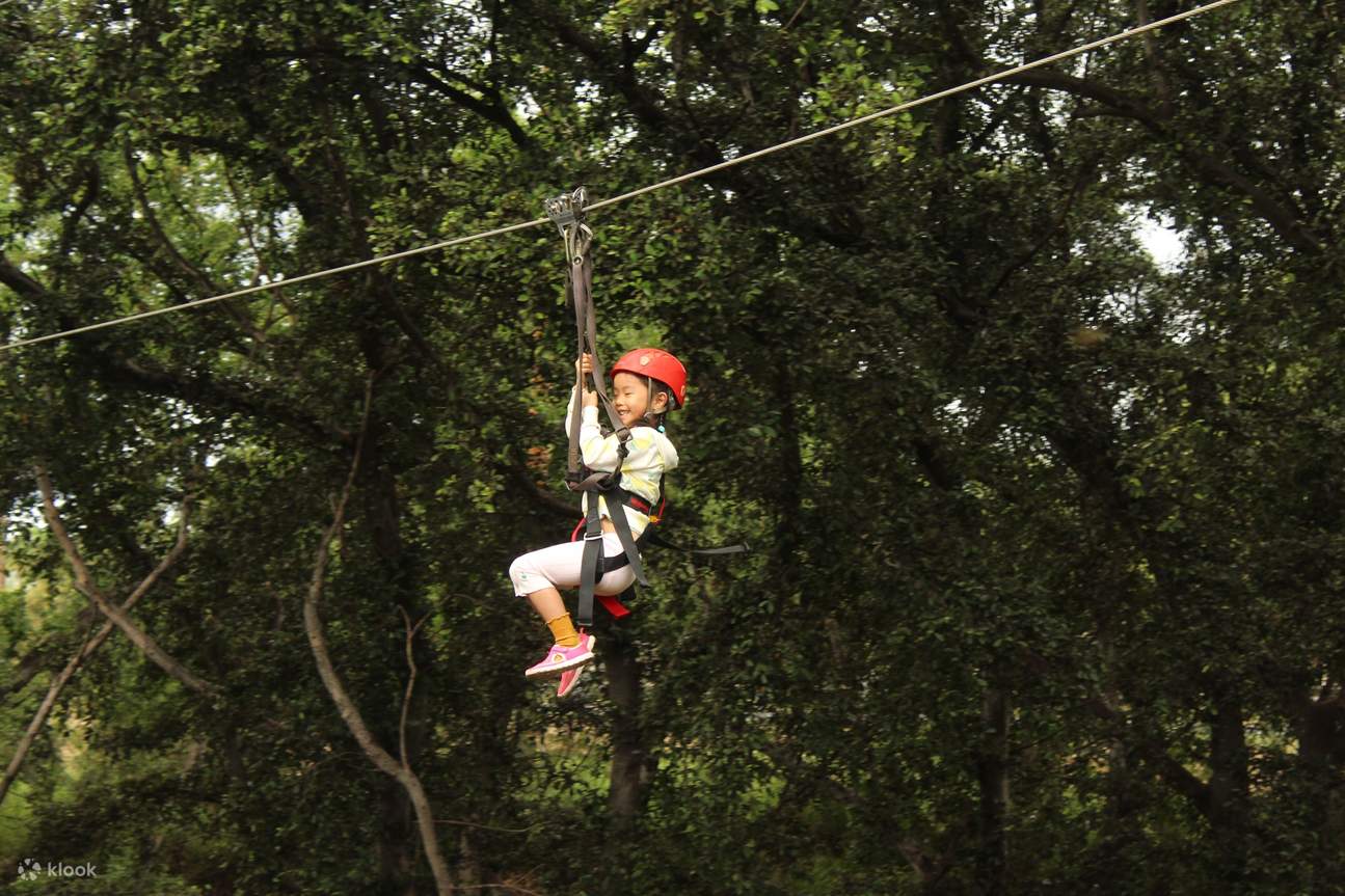 Trẻ em trượt zipline