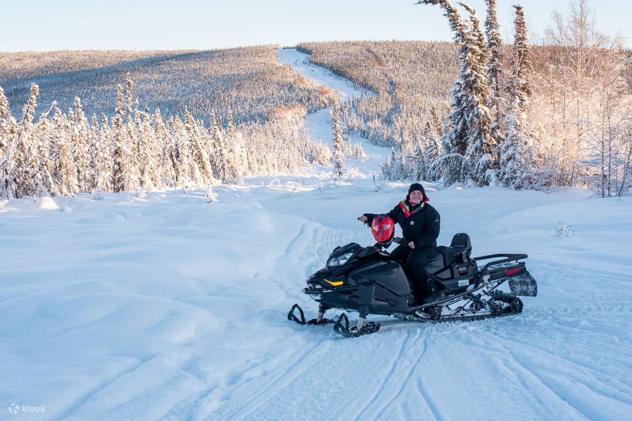 Alaska Fairbanks Snowmobile Experience Day Tour (1h) Klook