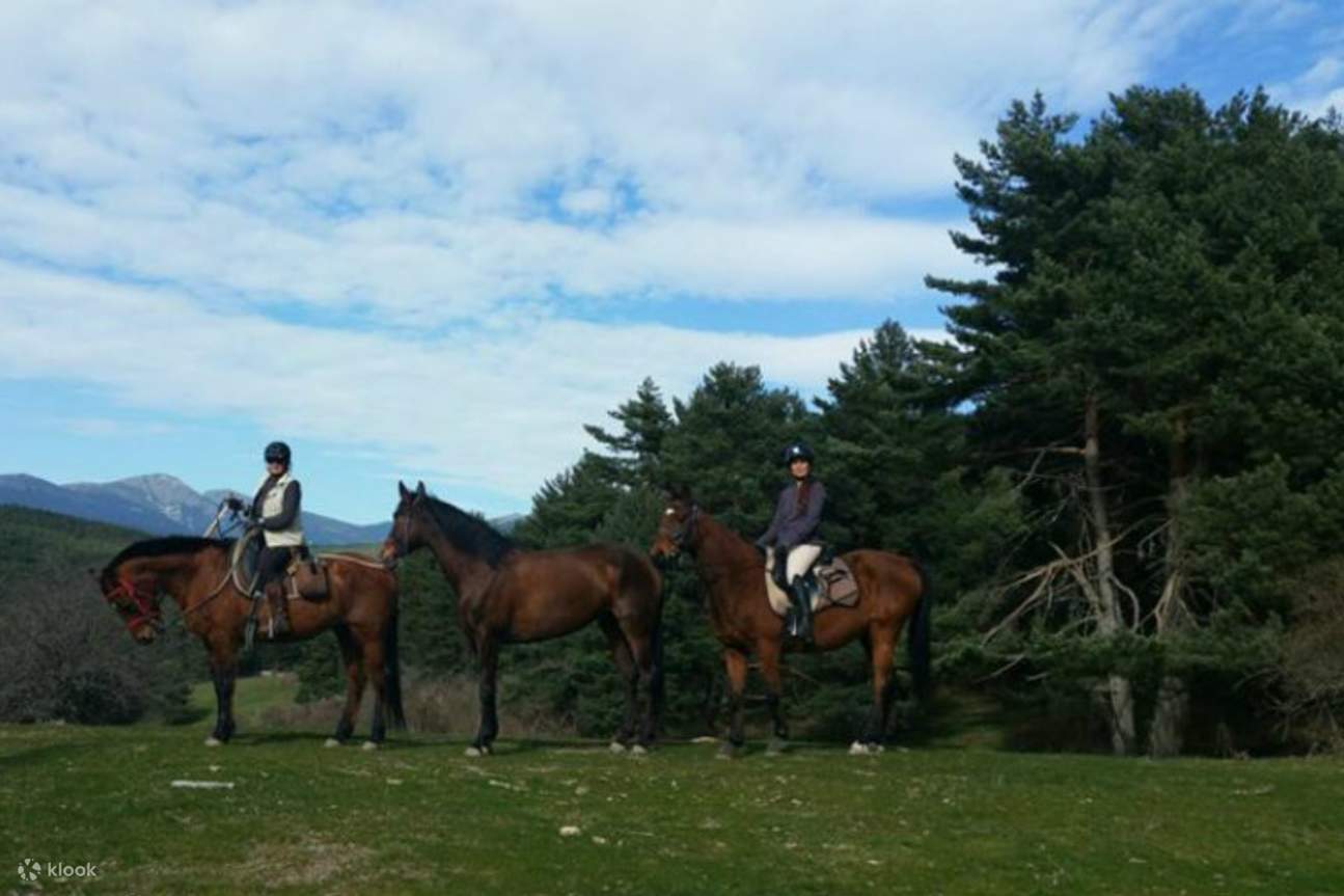 Alami gabungan sempurna antara pengembaraan dan ketenangan dalam perjalanan menunggang kuda yang boleh disesuaikan
