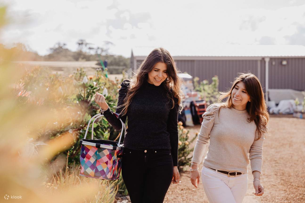 perkelahan misteri lembah yarra