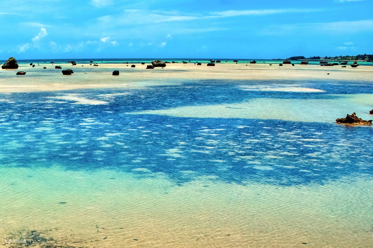 佐和田の浜