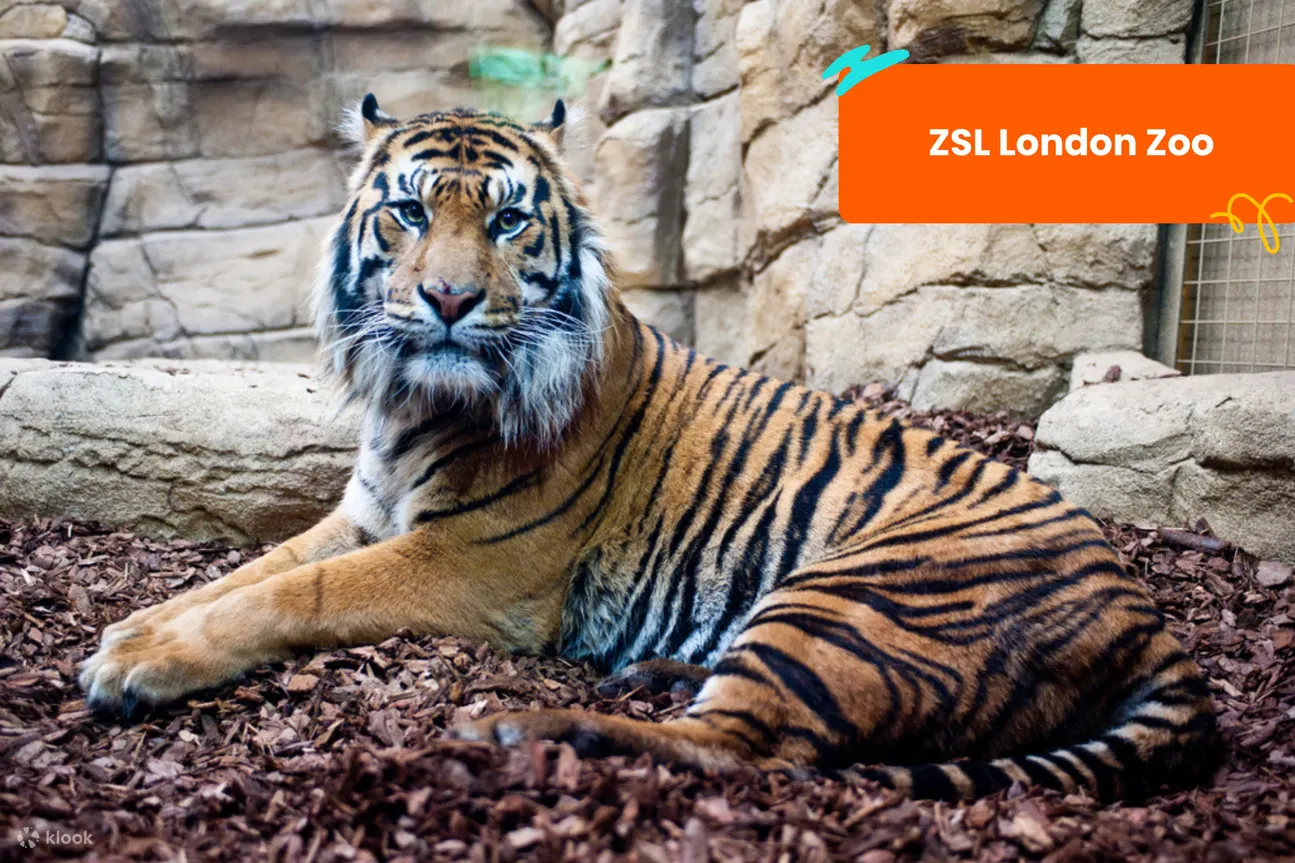 ZSL 伦敦动物园