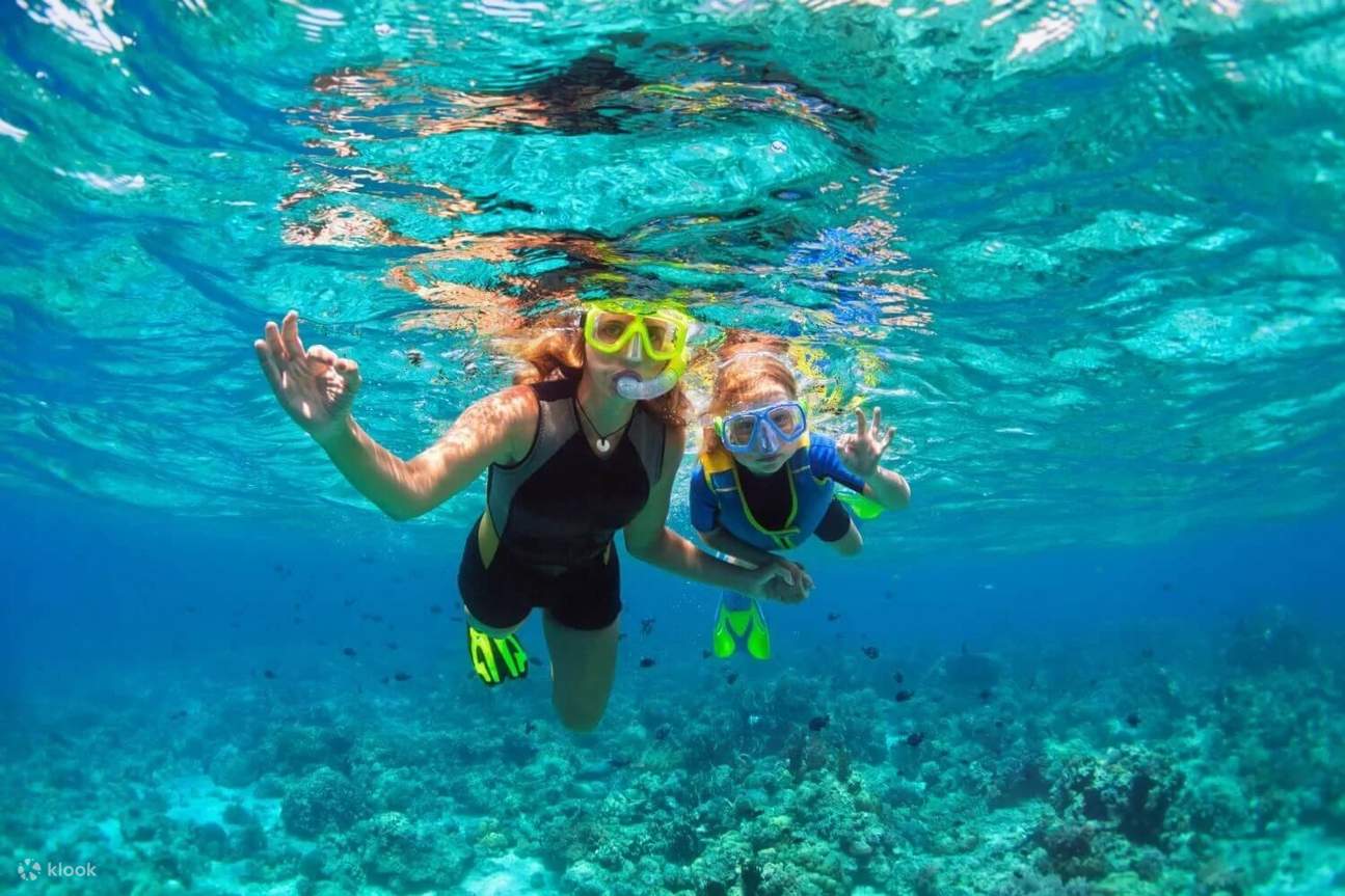 Снорклинг на острове Бинтан