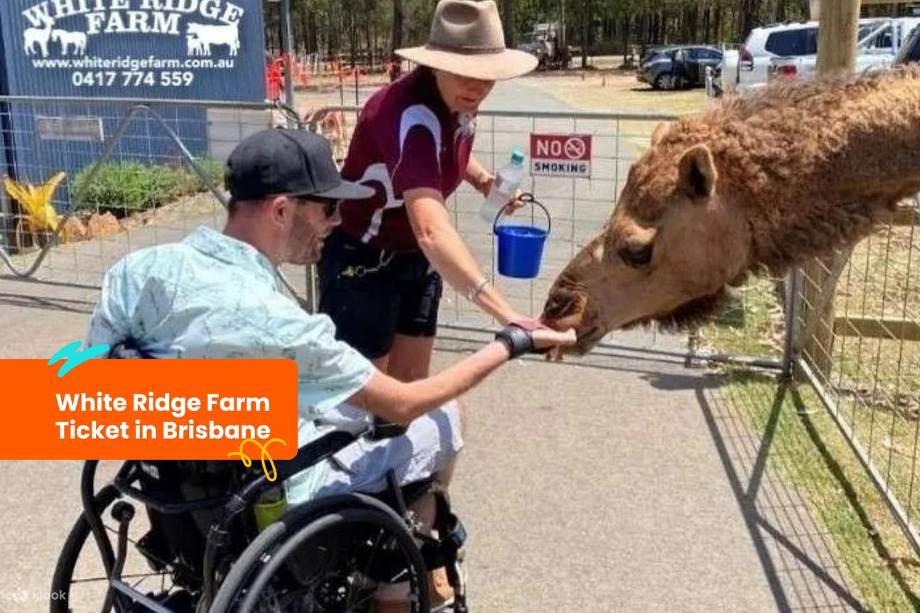 White Ridge Farm-Ticket in Brisbane