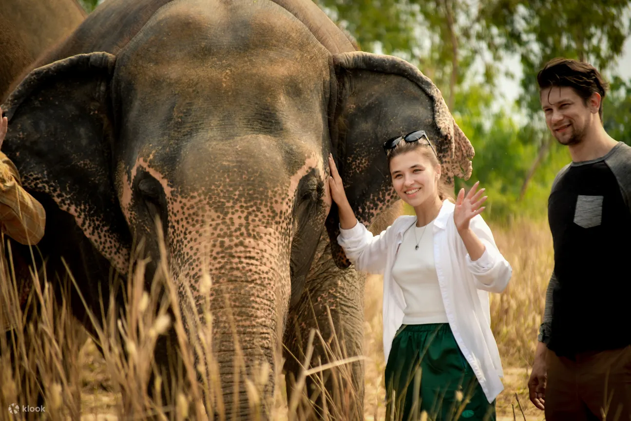 Visit first time with elephant