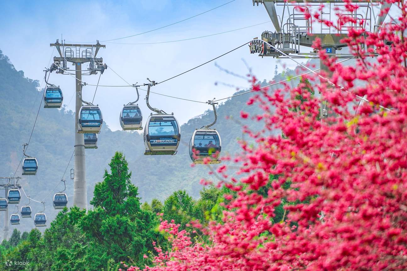 Festival de los cerezos en el Parque Formosan Aboriginal Culture Village
