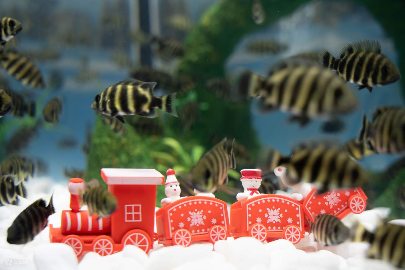 Biglietto per Lotte World Aquarium Hanoi