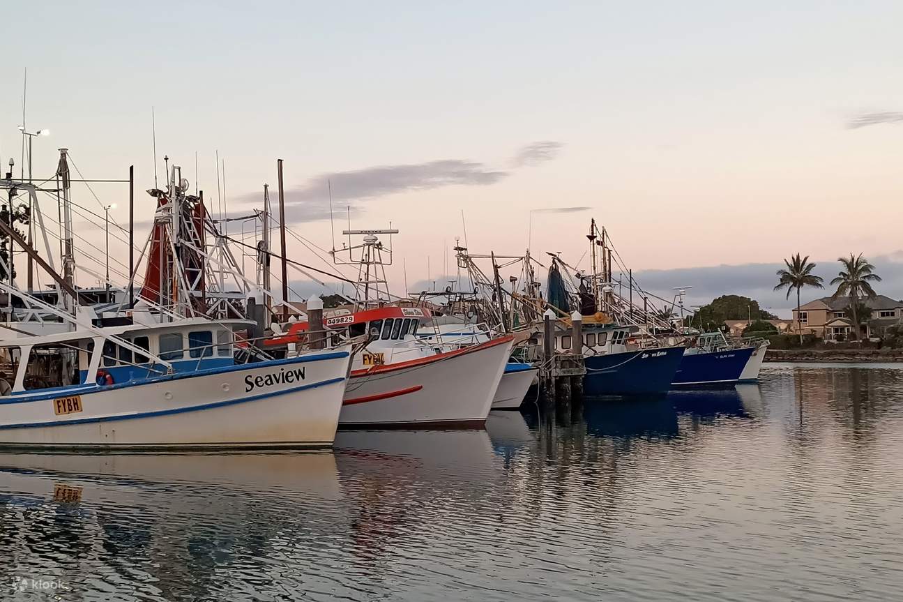 Pemandangan luas Tweed River Marina 
