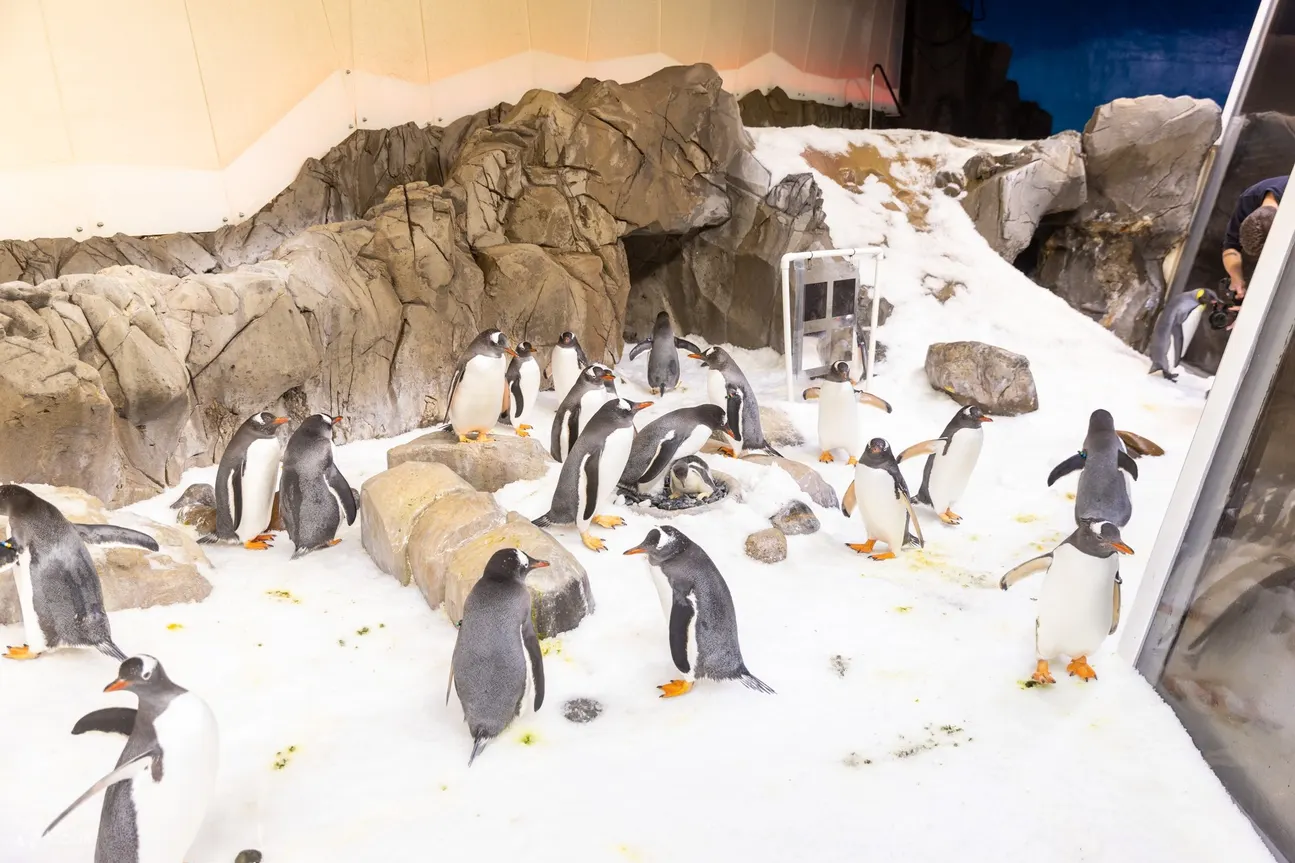墨尔本海洋生物水族馆