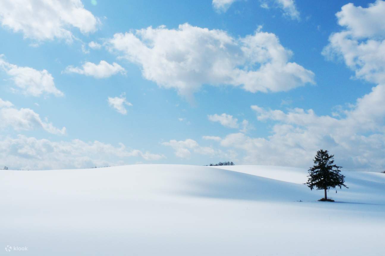 Furano Ski Resort Shuttle Bus from/to New Chitose Airport Klook